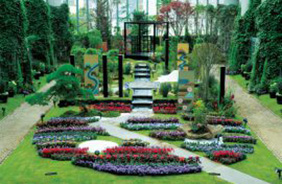 花を五感で感じる日本最大級の植物館、淡路夢舞台温室「奇跡の星の植物館」。 (雨天時)